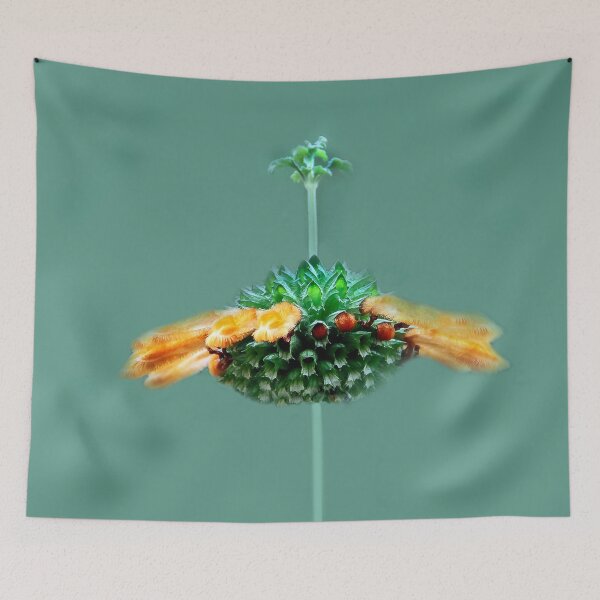 Item preview, What Am I? designed and sold by heatherfriedman.