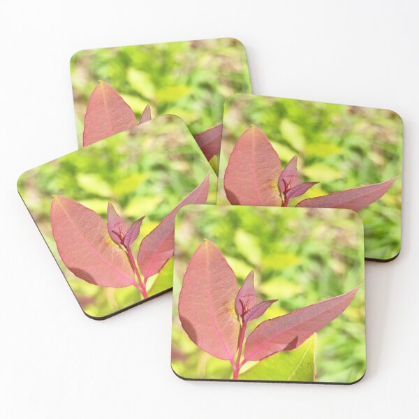 Item preview, Keep Growing - Botanical Red Leaf Photography designed and sold by PicturePic.