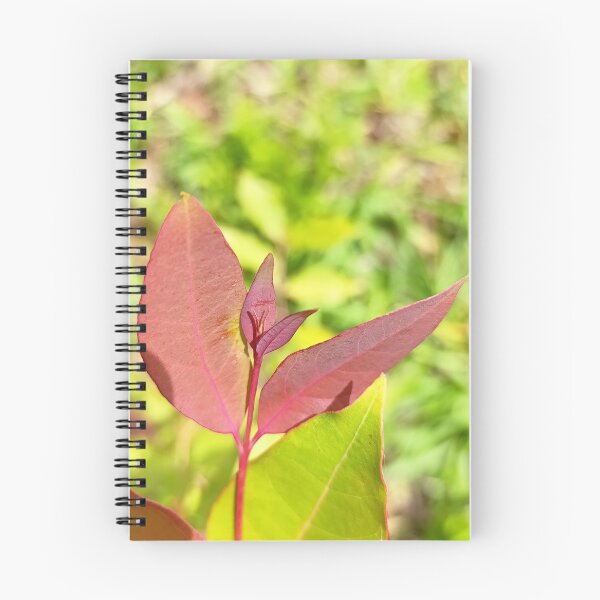 Item preview, Keep Growing - Botanical Red Leaf Photography designed and sold by PicturePic.