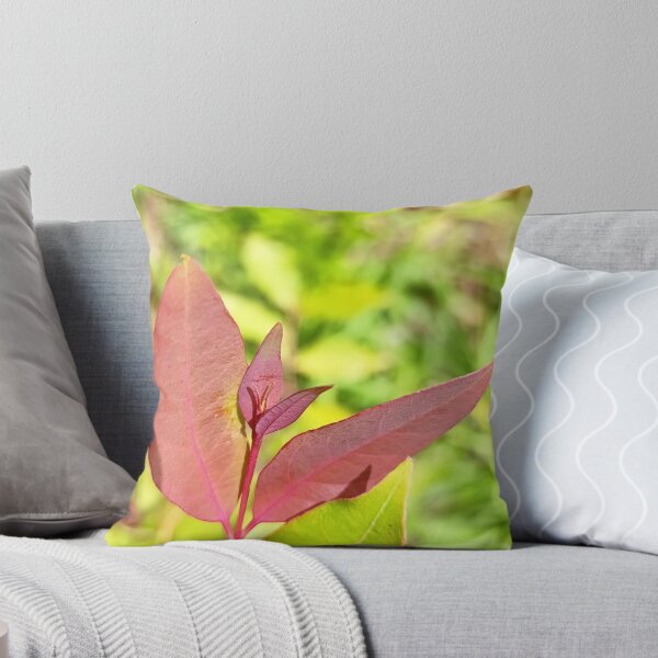 Item preview, Keep Growing - Botanical Red Leaf Photography designed and sold by PicturePic.