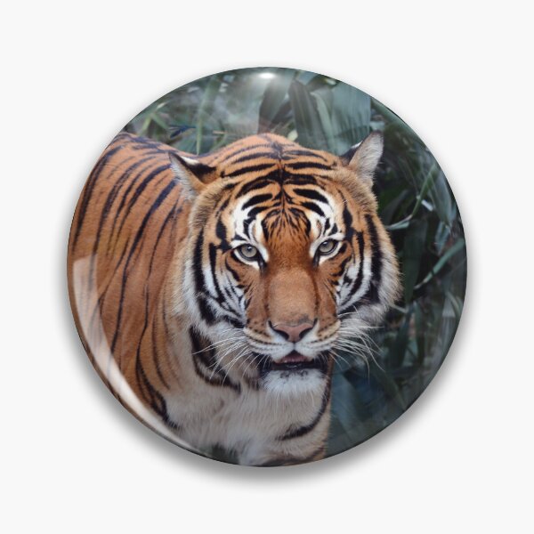 Item preview, Majestic Tiger in Lush Habitat designed and sold by Savannah Gibbs.