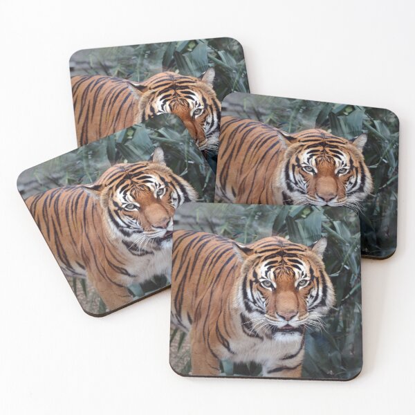Item preview, Majestic Tiger in Lush Habitat designed and sold by Savannah Gibbs.