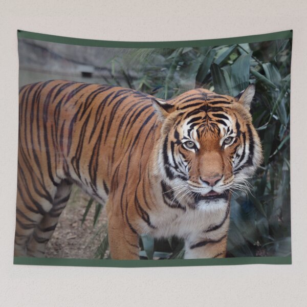 Item preview, Majestic Tiger in Lush Habitat designed and sold by Savannah Gibbs.