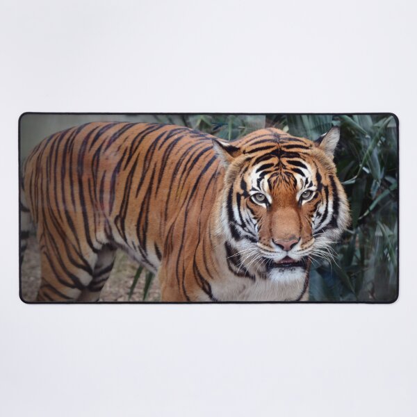 Item preview, Majestic Tiger in Lush Habitat designed and sold by Savannah Gibbs.