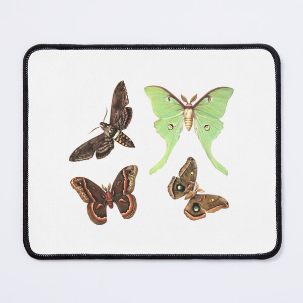 Item preview, Moths Collection No.2 - Sticker Pack designed and sold by Todayshirtyp.