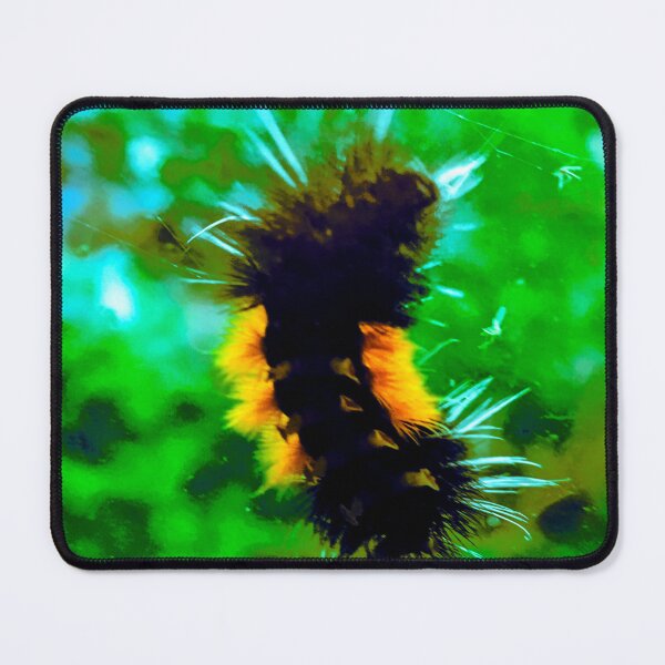 Item preview, fuzzy woolly bear caterpillar chilling on your window designed and sold by Harold122Jade.
