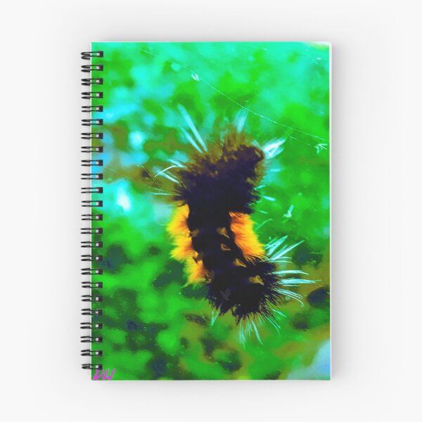 Item preview, fuzzy woolly bear caterpillar chilling on your window designed and sold by Harold122Jade.