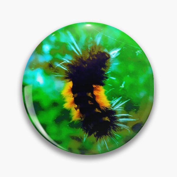Item preview, fuzzy woolly bear caterpillar chilling on your window designed and sold by Harold122Jade.