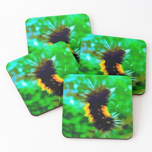 Item preview, fuzzy woolly bear caterpillar chilling on your window designed and sold by Harold122Jade.