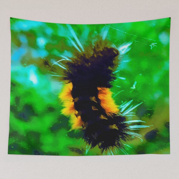 Item preview, fuzzy woolly bear caterpillar chilling on your window designed and sold by Harold122Jade.