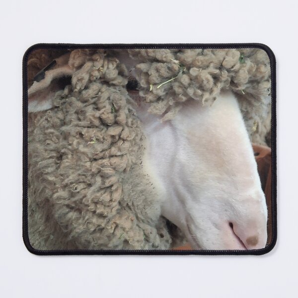 Item preview, Sassy Sheep designed and sold by CJ Art & Photography .