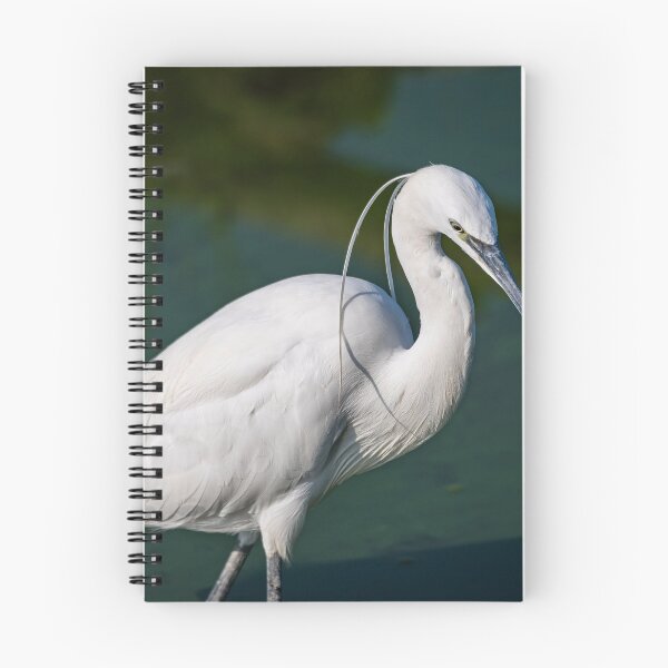 Item preview, Portrait of Egretta Garzetta in water designed and sold by brambillasimone.