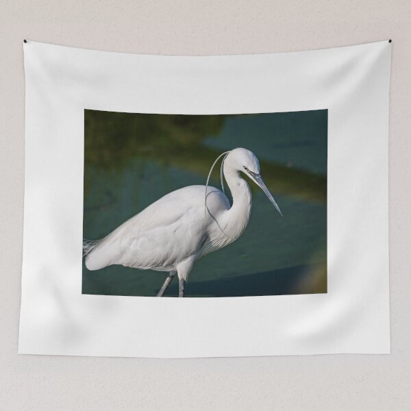 Item preview, Portrait of Egretta Garzetta in water designed and sold by brambillasimone.