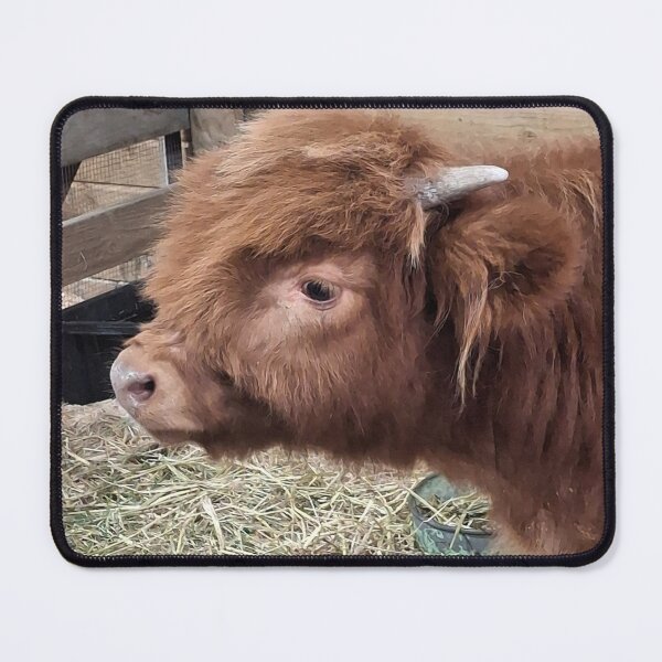 Item preview, Highland Cow Side On designed and sold by CJ Art & Photography .