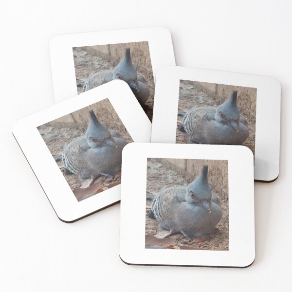 Item preview, Baby Pigeon designed and sold by CJ Art & Photography .