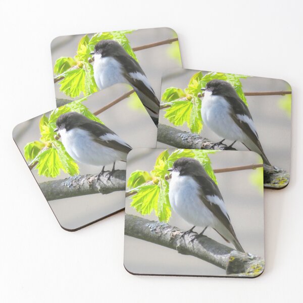 Item preview, The European Pied Flycatcher designed and sold by JonnaHurmerinta.
