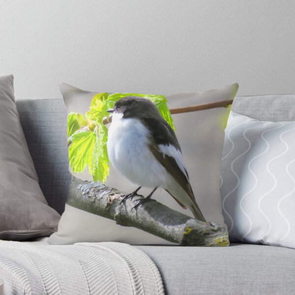 Item preview, The European Pied Flycatcher designed and sold by JonnaHurmerinta.