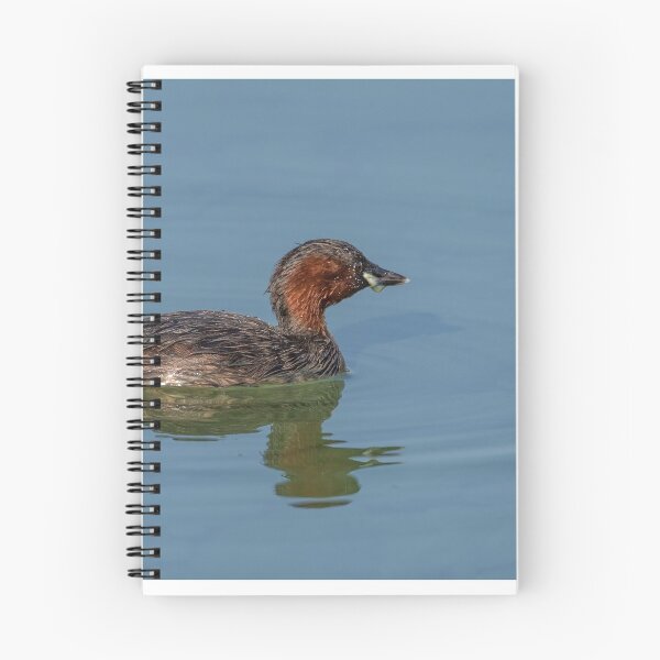 Item preview, The little grebe, also known as dabchick designed and sold by brambillasimone.