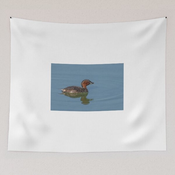Item preview, The little grebe, also known as dabchick designed and sold by brambillasimone.