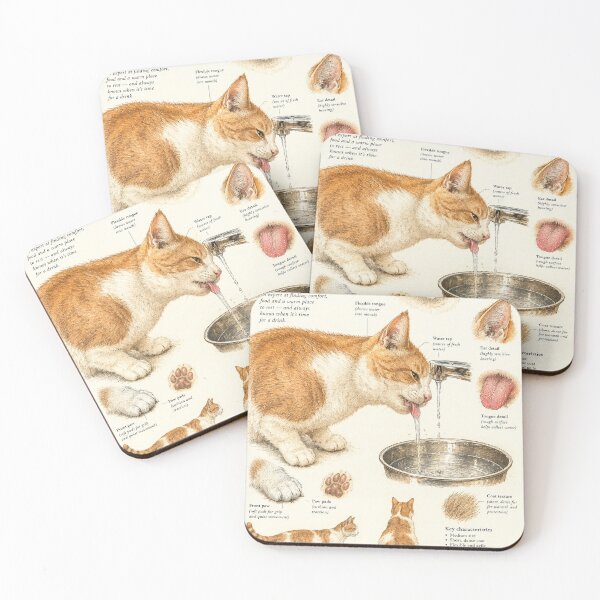 Item preview, Domestic cat botanical poster designed and sold by KALEIDOSCOPE UK.