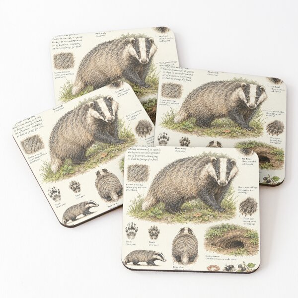 Item preview, Badger botanical poster of English wildlife designed and sold by KALEIDOSCOPE UK.