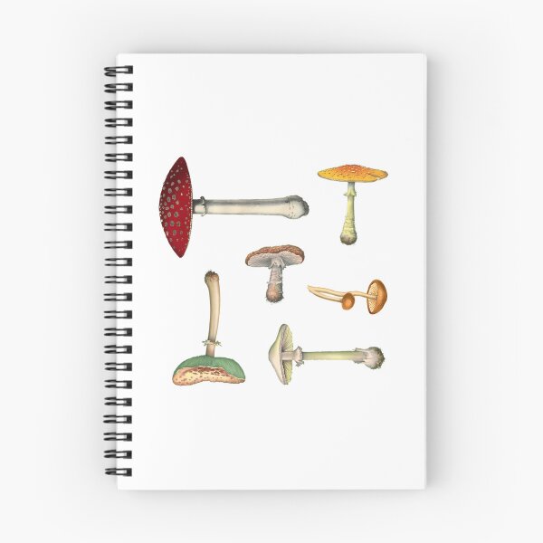 Item preview, Mushroom Medley Mini Sticker Pack designed and sold by blessedblossom-.
