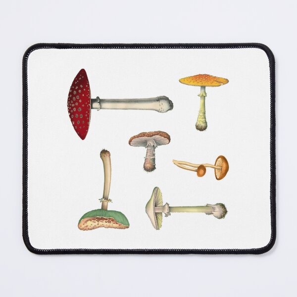 Item preview, Mushroom Medley Mini Sticker Pack designed and sold by blessedblossom-.