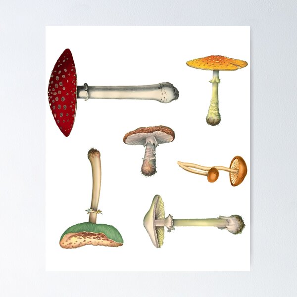 Item preview, Mushroom Medley Mini Sticker Pack designed and sold by blessedblossom-.