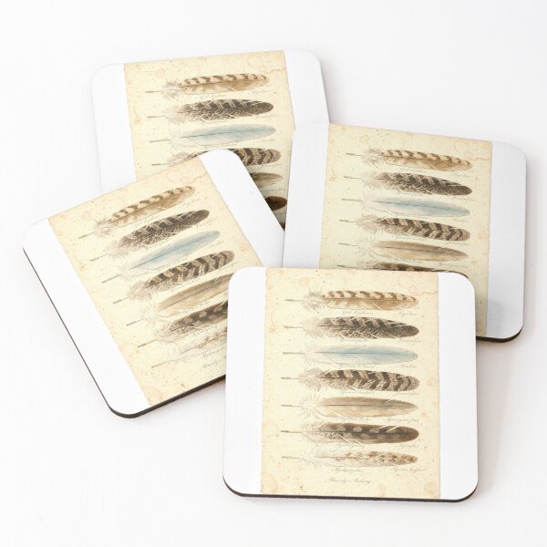 Item preview, Vintage Feather Study Plate designed and sold by PictorialWhimsy.