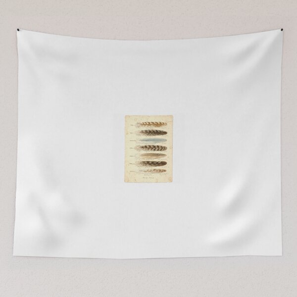 Item preview, Vintage Feather Study Plate designed and sold by PictorialWhimsy.