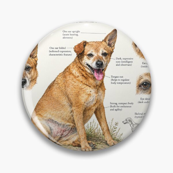 Artikelvorschau, Botanisches Poster für Haustiere mit Hunden entworfen und verkauft von KALEIDOSCOPE UK.