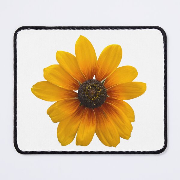 Item preview, yellow coneflower, Rudbeckia hirta flower designed and sold by EleniA8.
