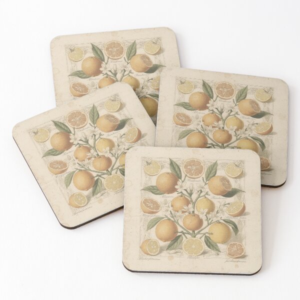 Item preview, Antique Citrus Botanical Plate designed and sold by PictorialWhimsy.