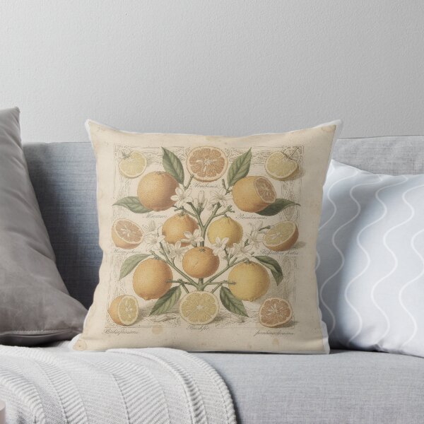 Item preview, Antique Citrus Botanical Plate designed and sold by PictorialWhimsy.