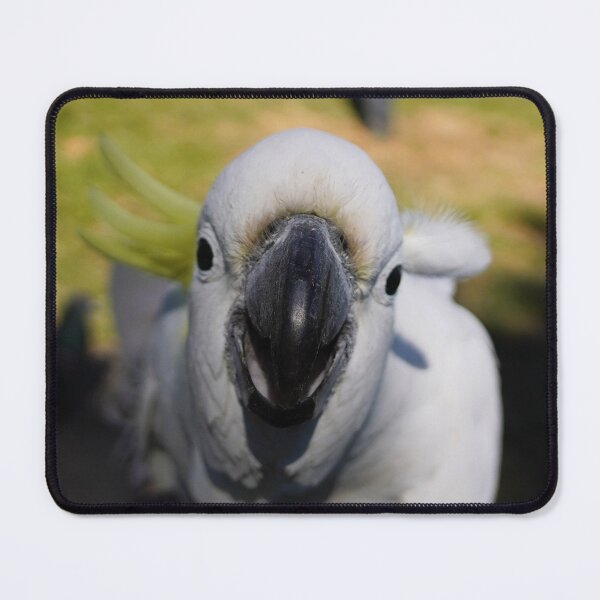 Item preview, Stickybeak designed and sold by Annalucia.