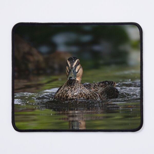 Item preview, Duck Gliding through the Pond designed and sold by Twisted Light Images.