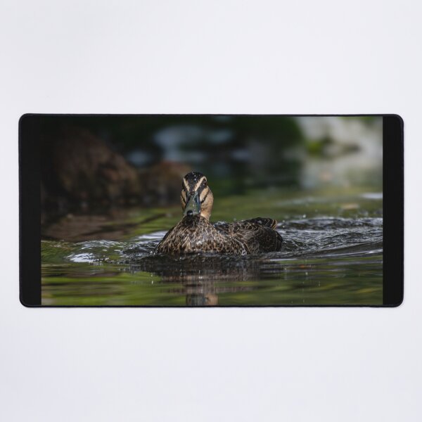 Item preview, Duck Gliding through the Pond designed and sold by Twisted Light Images.