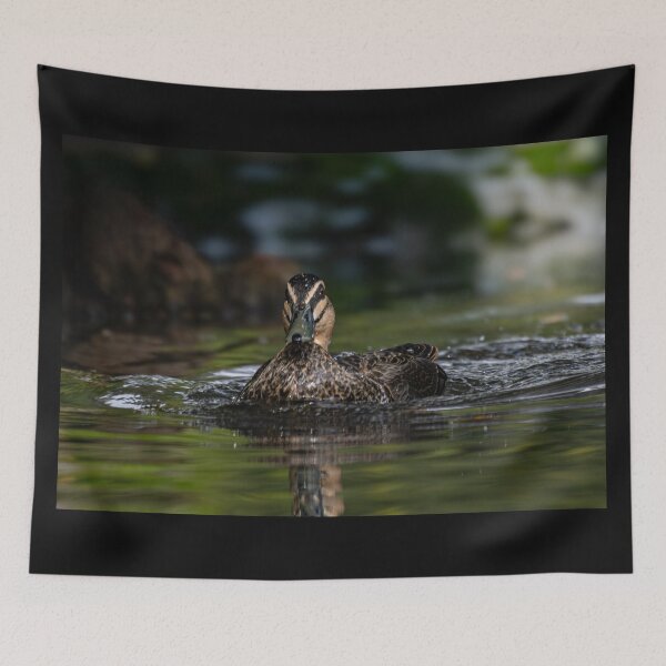 Item preview, Duck Gliding through the Pond designed and sold by Twisted Light Images.