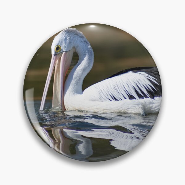 Item preview, Pelican Gliding on Water designed and sold by Twisted Light Images.