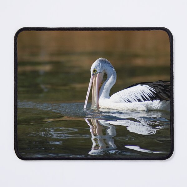 Item preview, Pelican Gliding on Water designed and sold by Twisted Light Images.