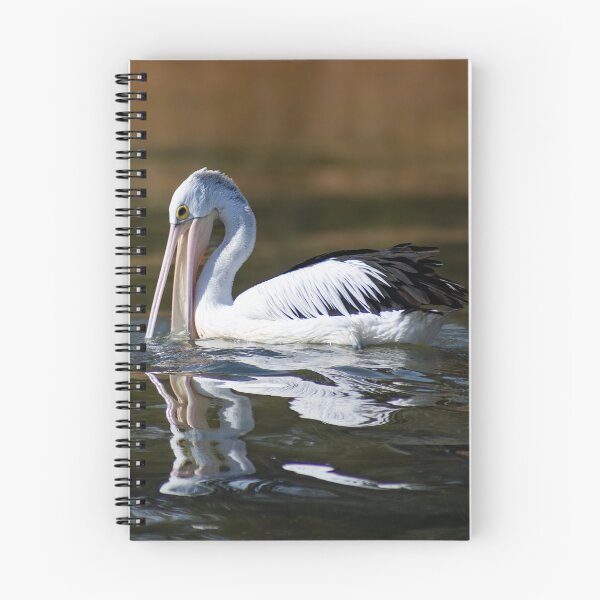 Item preview, Pelican Gliding on Water designed and sold by Twisted Light Images.