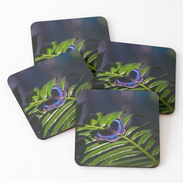 Item preview, Butterfly with Sapphire Wings designed and sold by Twisted Light Images.