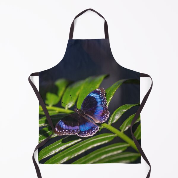 Item preview, Butterfly with Sapphire Wings designed and sold by Twisted Light Images.