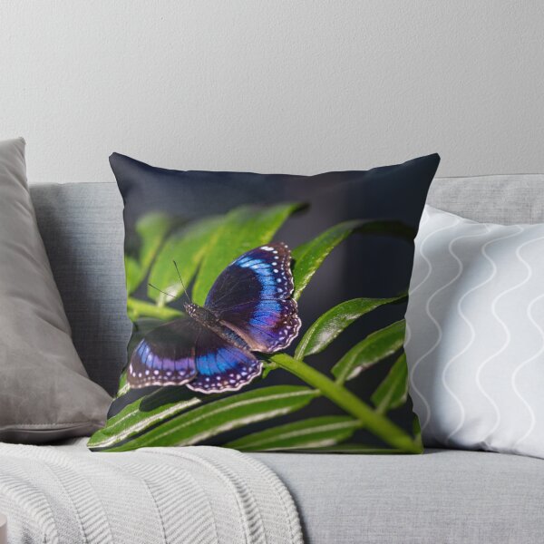 Item preview, Butterfly with Sapphire Wings designed and sold by Twisted Light Images.