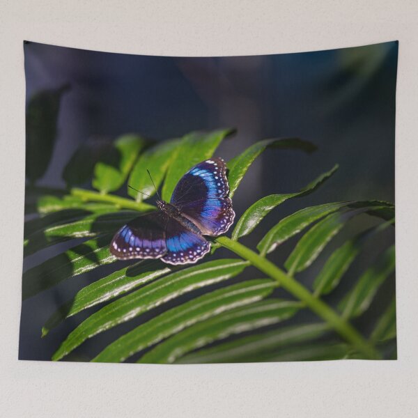 Item preview, Butterfly with Sapphire Wings designed and sold by Twisted Light Images.