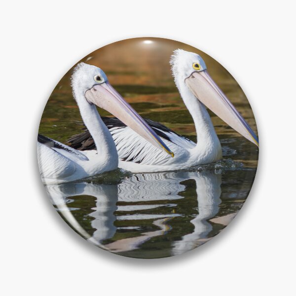 Item preview, Pelicans Gliding on Water designed and sold by Twisted Light Images.