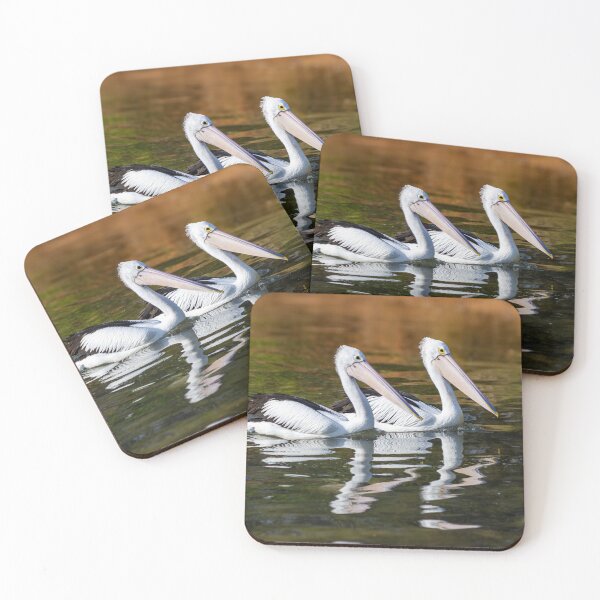 Item preview, Pelicans Gliding on Water designed and sold by Twisted Light Images.