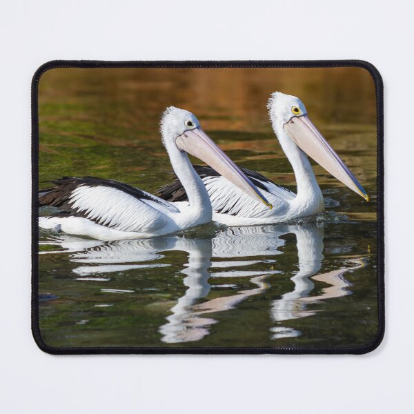 Item preview, Pelicans Gliding on Water designed and sold by Twisted Light Images.