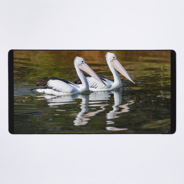 Item preview, Pelicans Gliding on Water designed and sold by Twisted Light Images.
