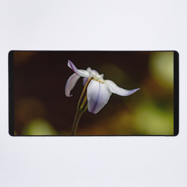 Item preview, The Petals of a Spring Star Flower designed and sold by Twisted Light Images.